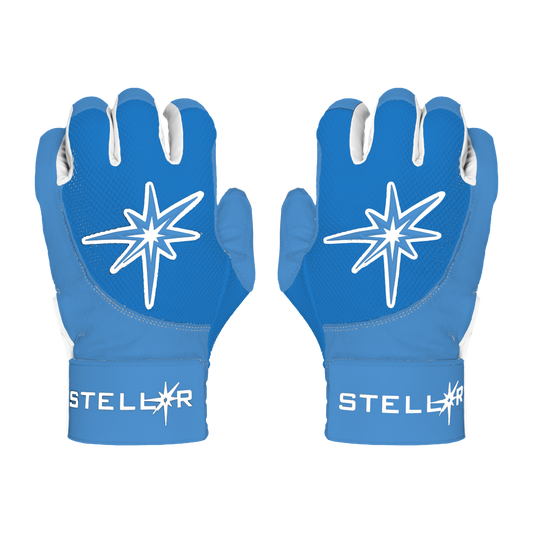 Premium Batting Gloves