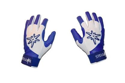 BLUE Batting Gloves