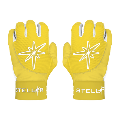 Premium Batting Gloves