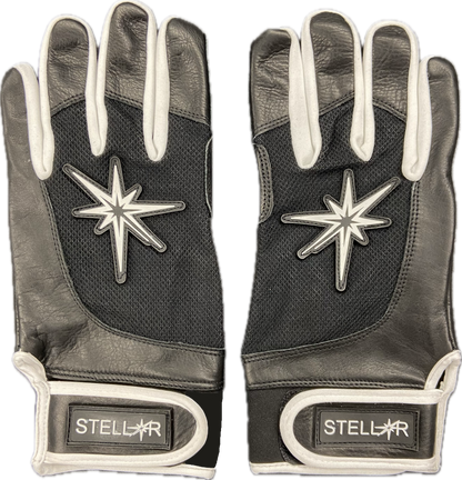 PROTOTYPE Black Batting Gloves